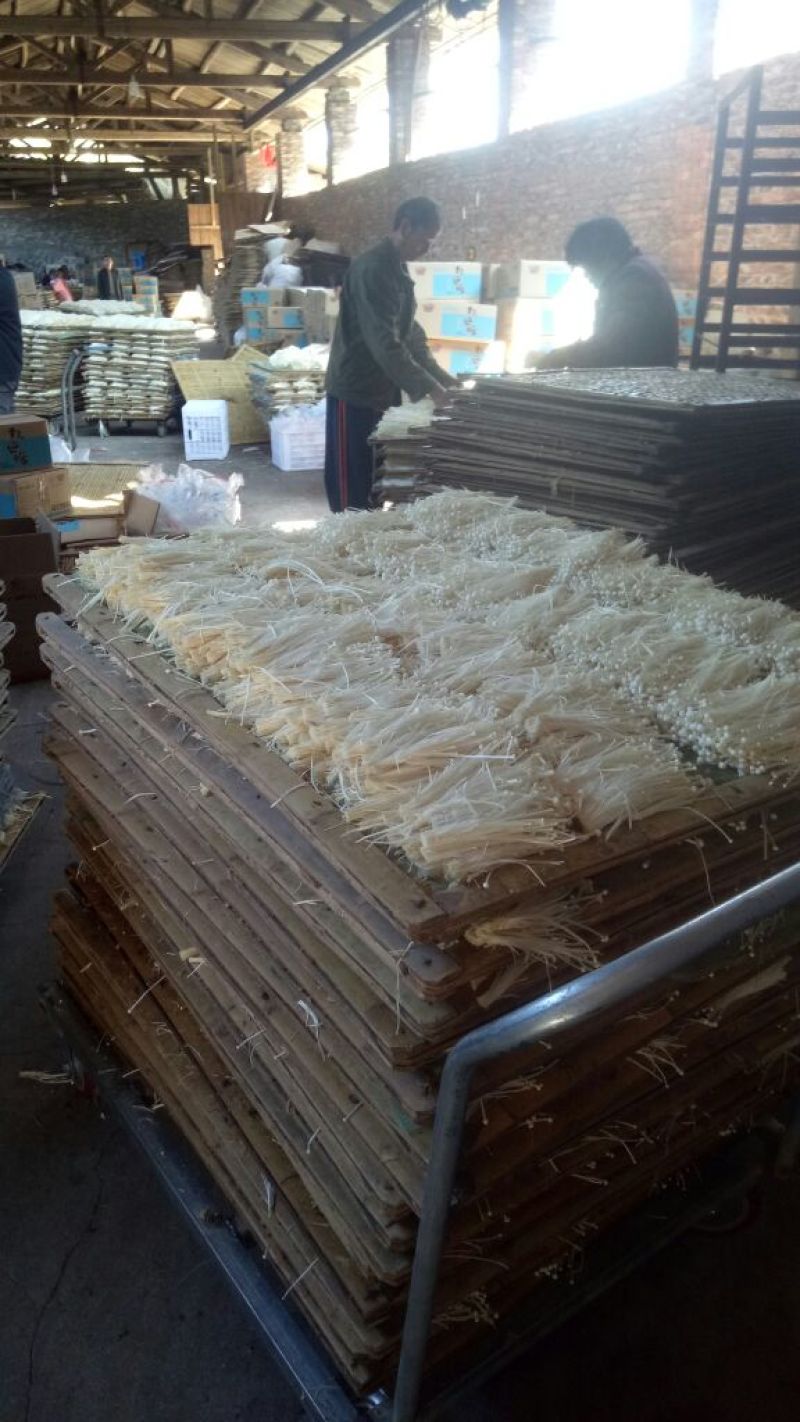 金针菇干货15~20厘米加工用小包装用火锅店酒店食材