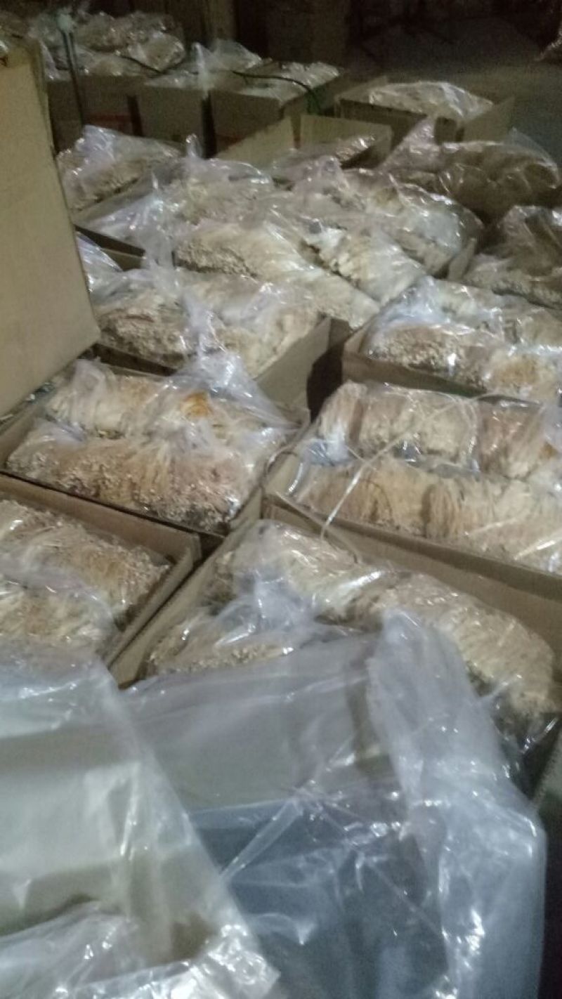 金针菇干货15~20厘米加工用小包装用火锅店酒店食材