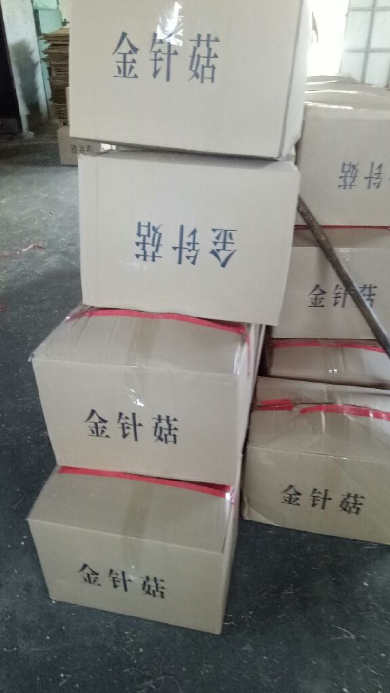 金针菇干货15~20厘米加工用小包装用火锅店酒店食材