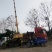 五角枫261~300cm
