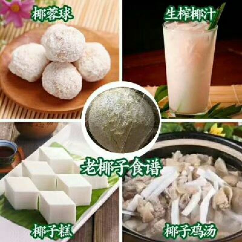 海南椰子1~1.5斤