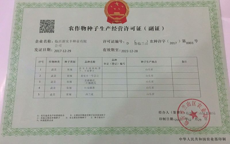 世农703甘蓝种子世农绿球甘蓝种子