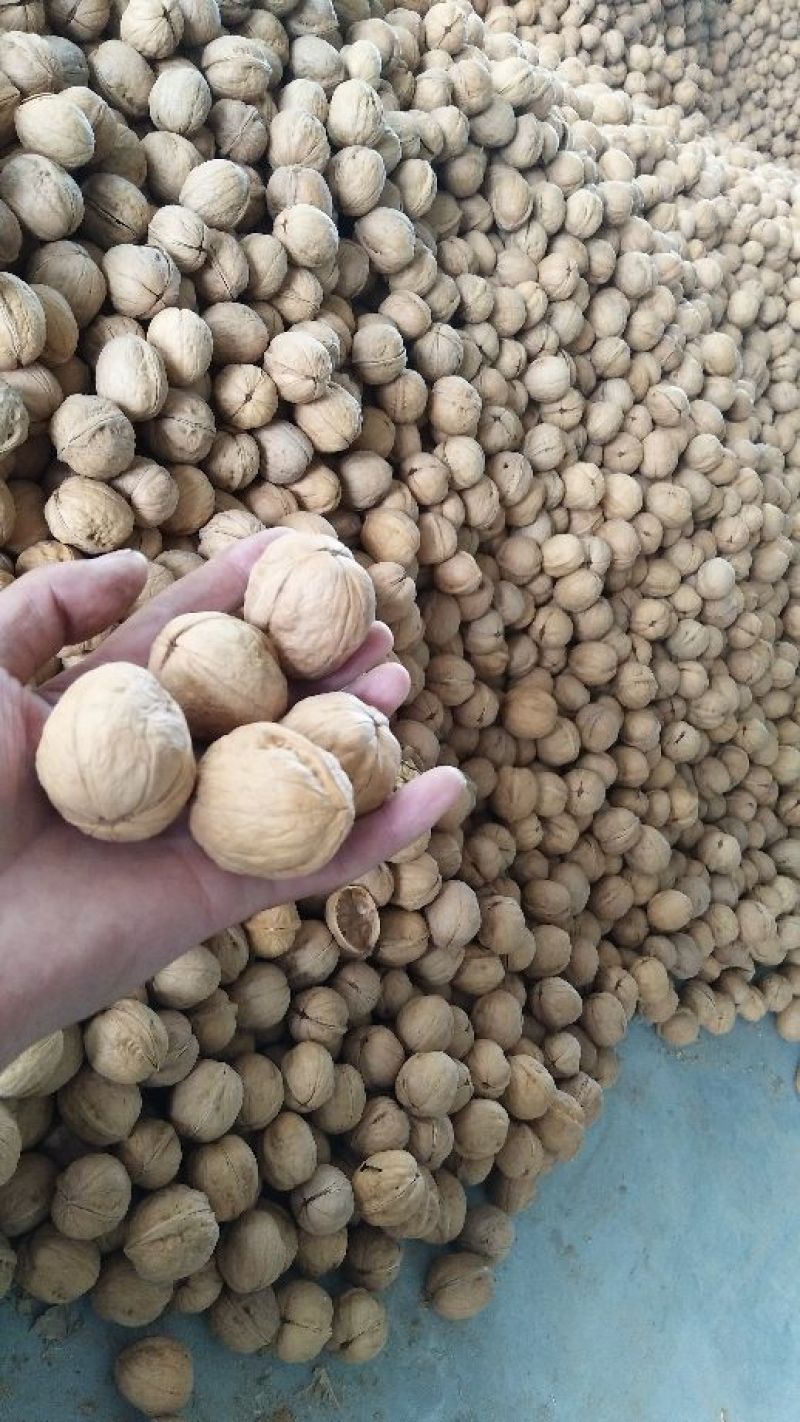 新疆185核桃新货185纸皮核桃