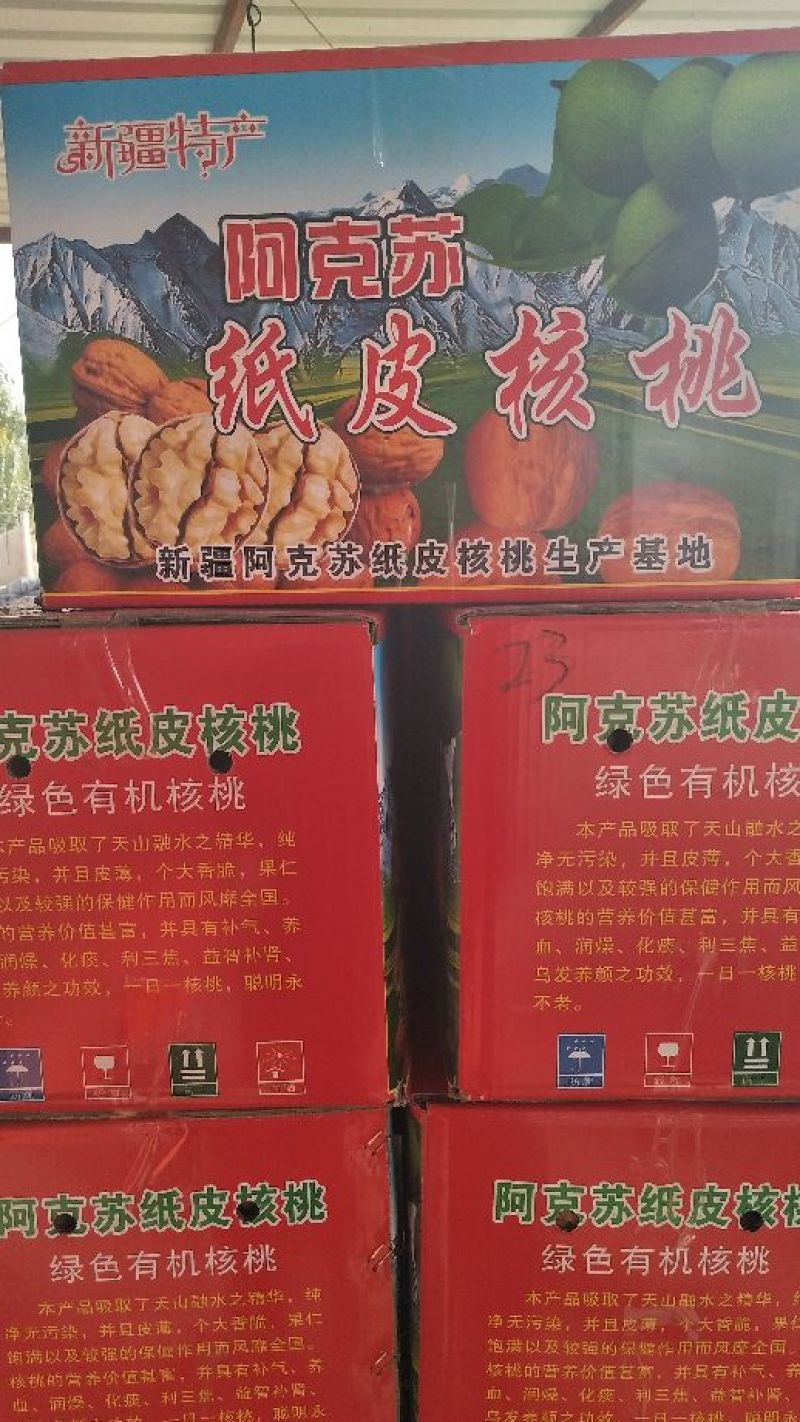 新疆185纸皮核桃5斤包邮