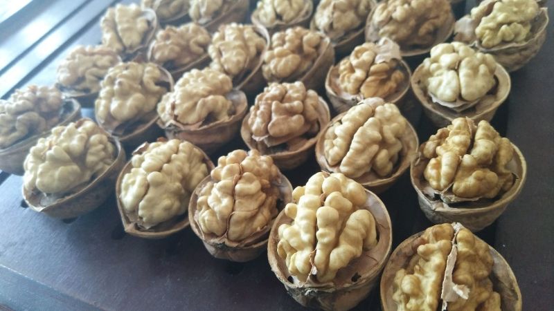 新疆185纸皮核桃5斤包邮