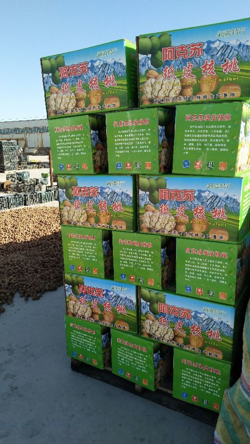 19年新货纸皮核桃阿克苏185纸皮核桃