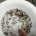 泥鳅鱼苗人工养殖3~5cm