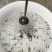 泥鳅鱼苗人工养殖3~5cm