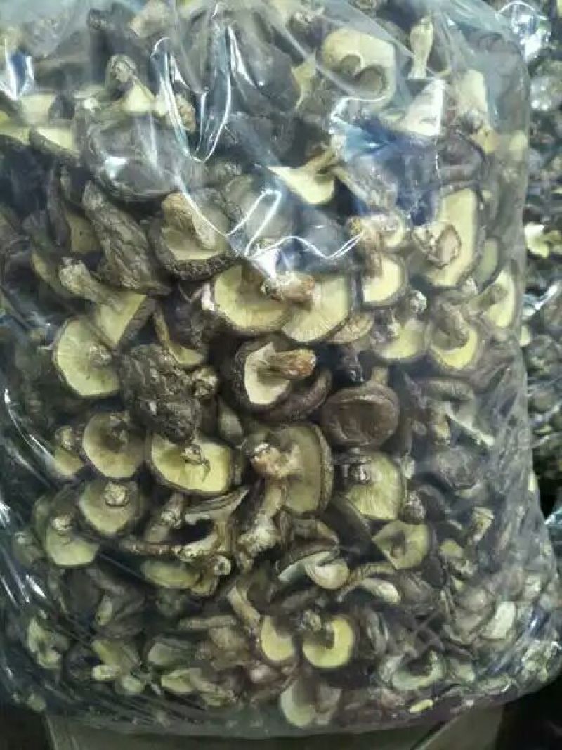 河源特产新货香菇干货薄菇颜色好，大量批发