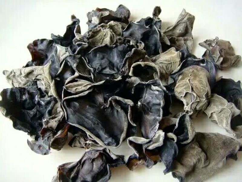 广东河源黑木耳，碗耳大量批发零售