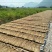 广东河源农家纯手工红薯粉条无添加薯粉大量批发零售优惠
