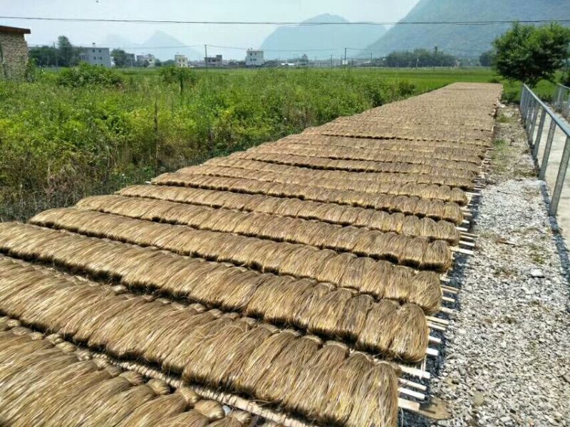 广东河源农家纯手工红薯粉条无添加薯粉大量批发零售优惠