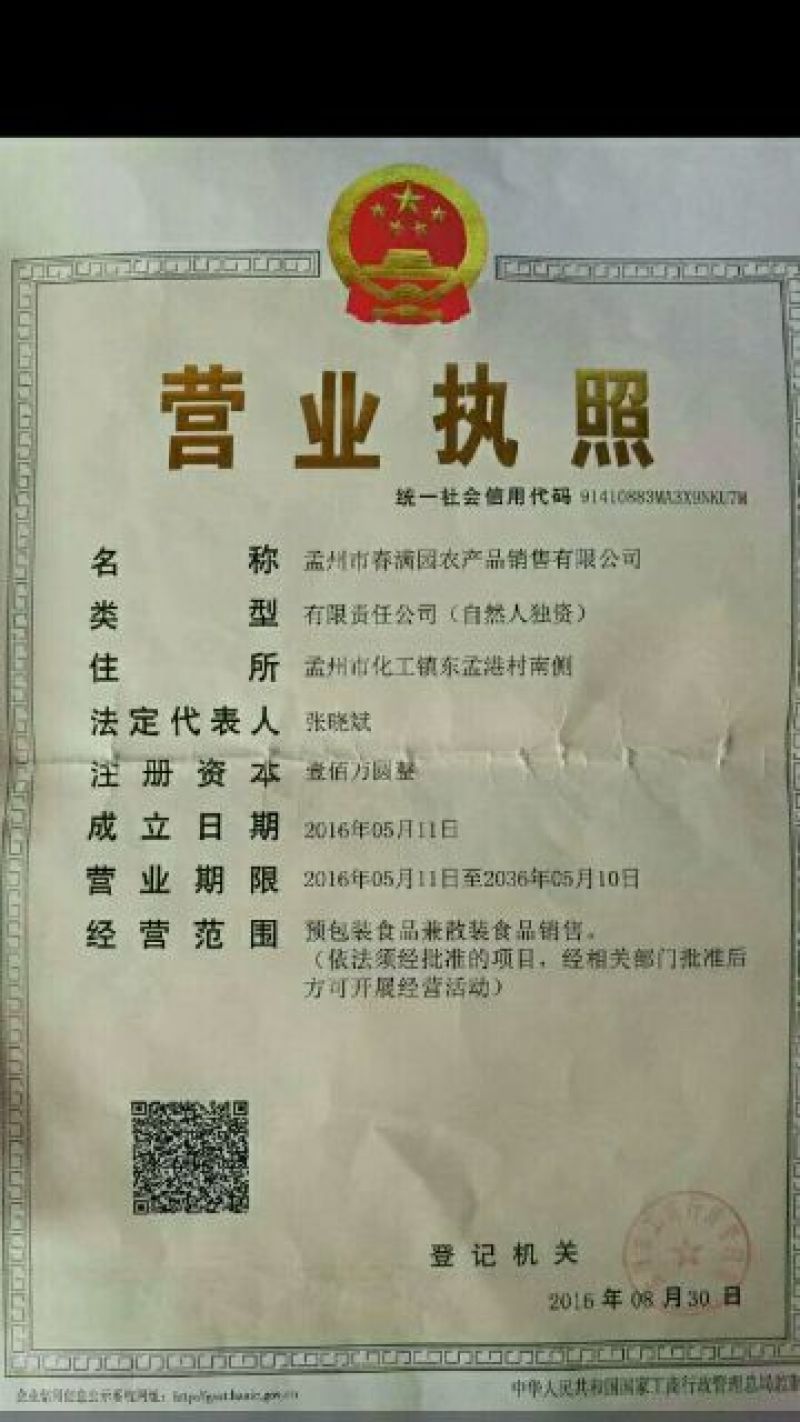 白沙系列花生种子
