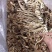茶树菇14cm