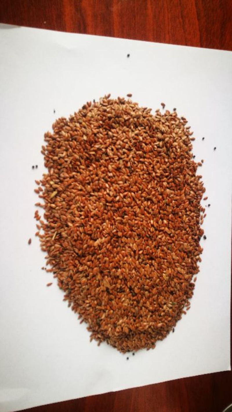 胡麻籽（亚麻籽）