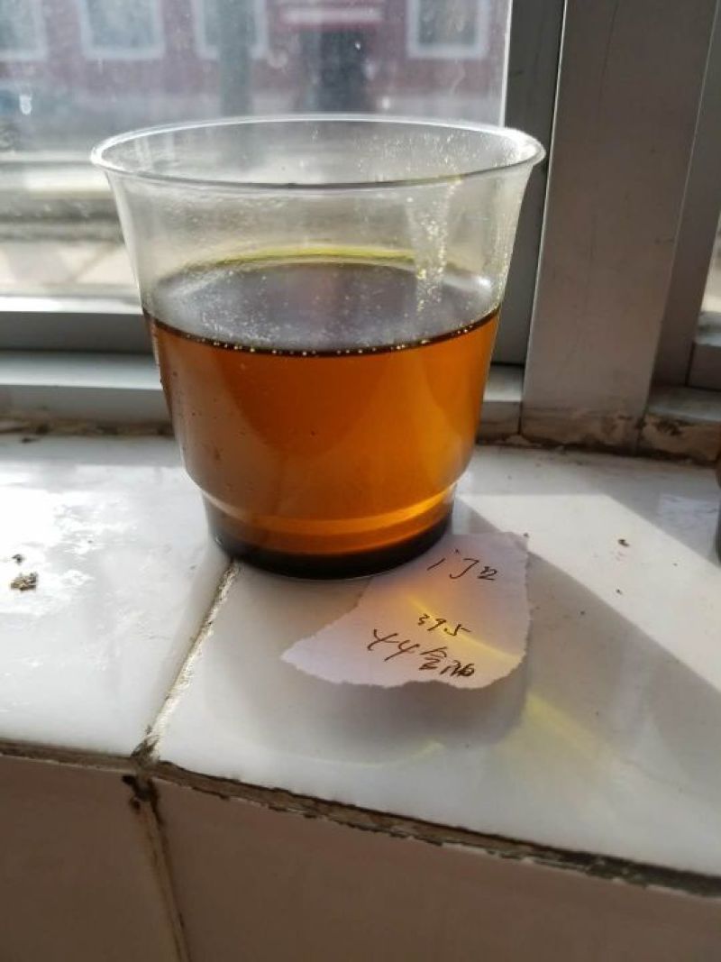 油菜籽(俄罗斯进口)40%