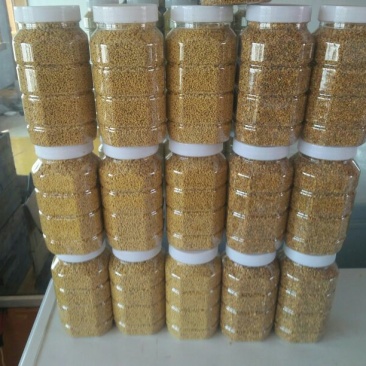 花粉