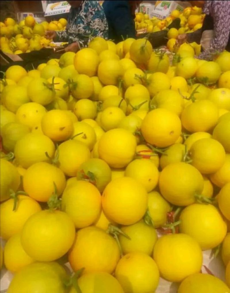 伊丽莎白甜瓜统货1.5斤以上