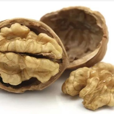 薄皮核桃去皮30~35mm干