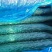 夏邑蔬菜之乡益农合作社精品密刺黄瓜保质保量货源充足