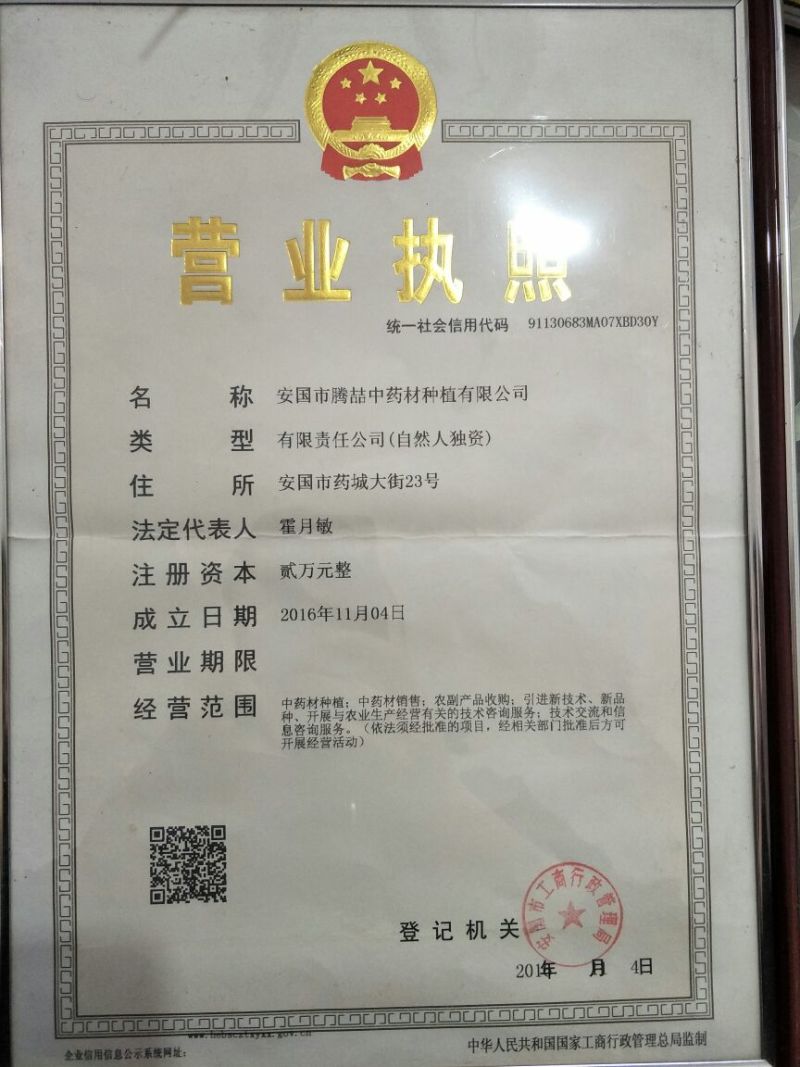 推荐河北安国改良白术种子，纯新安国包回收出芽高欢迎联
