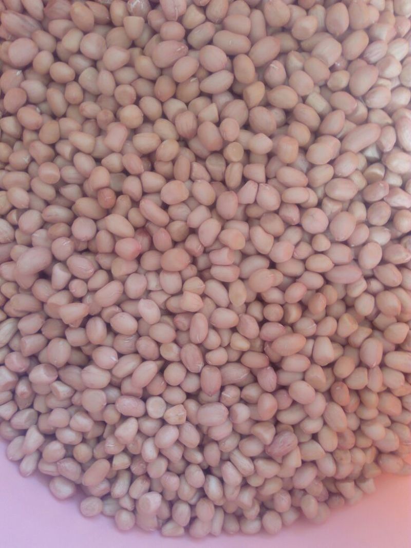 小白沙花生米白沙手剥米