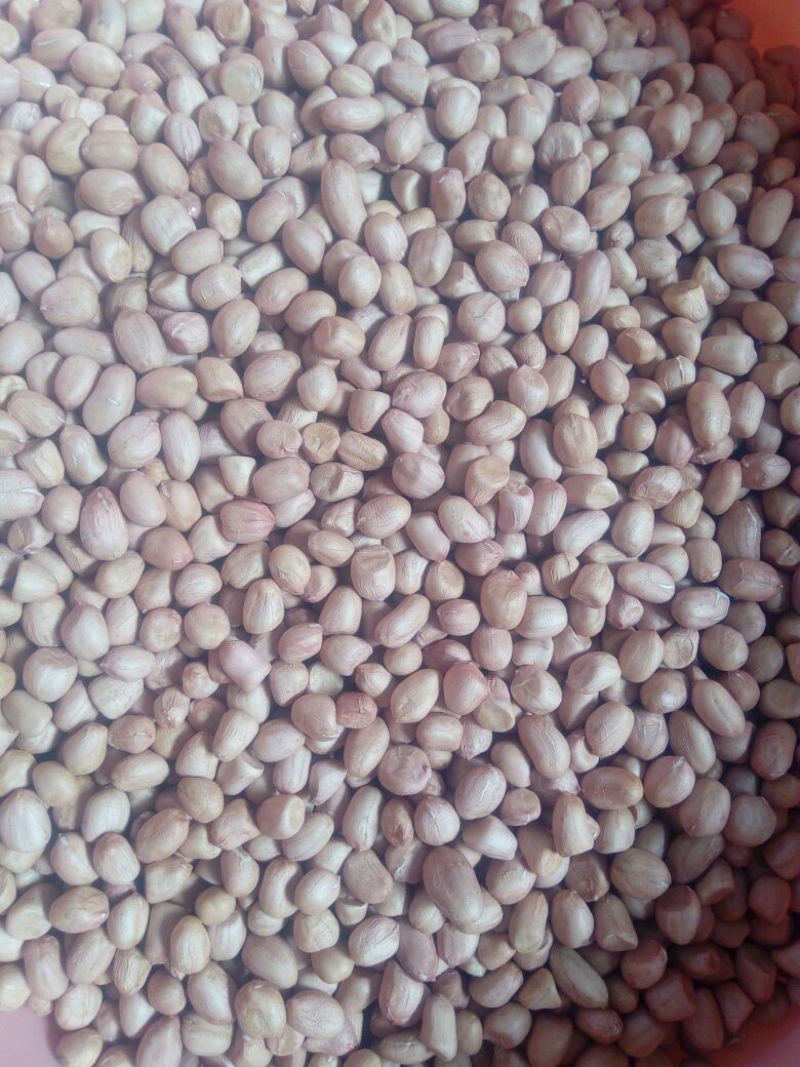 小白沙花生米白沙手剥米