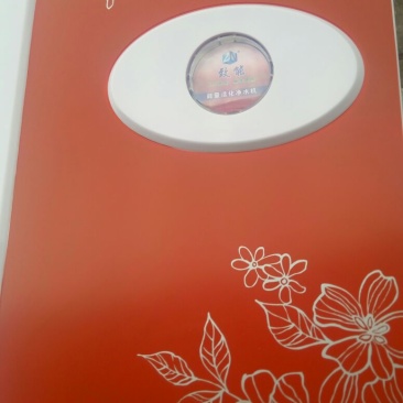 自动反冲洗过滤器