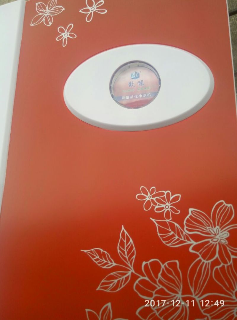 自动反冲洗过滤器