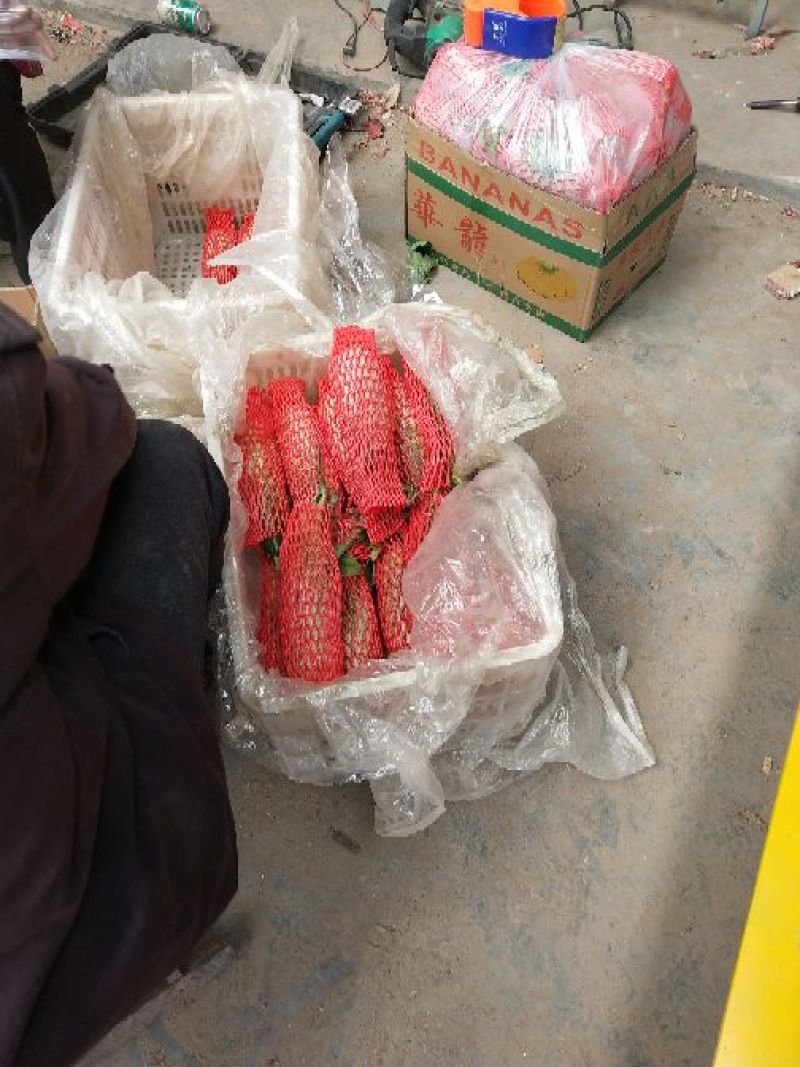 羊角蜜甜瓜，青州产地直发对接市场，超市，各电商团购！