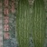 苦瓜苗假珍珠苦瓜苗苗场直销量大从优