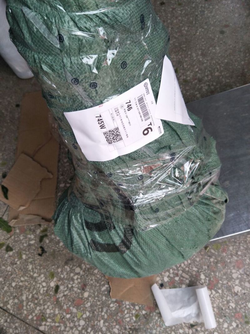 杨梅苗30~50cm