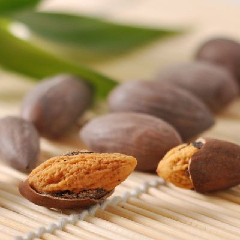 榧子香榧果实颗粒大