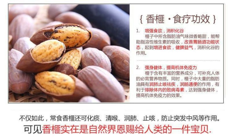榧子香榧果实颗粒大