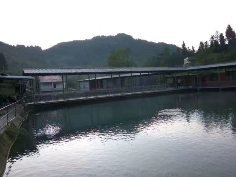 雅鱼1~2公斤
