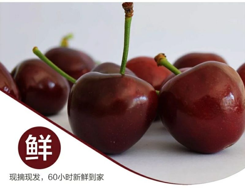 美早樱桃30mm以上