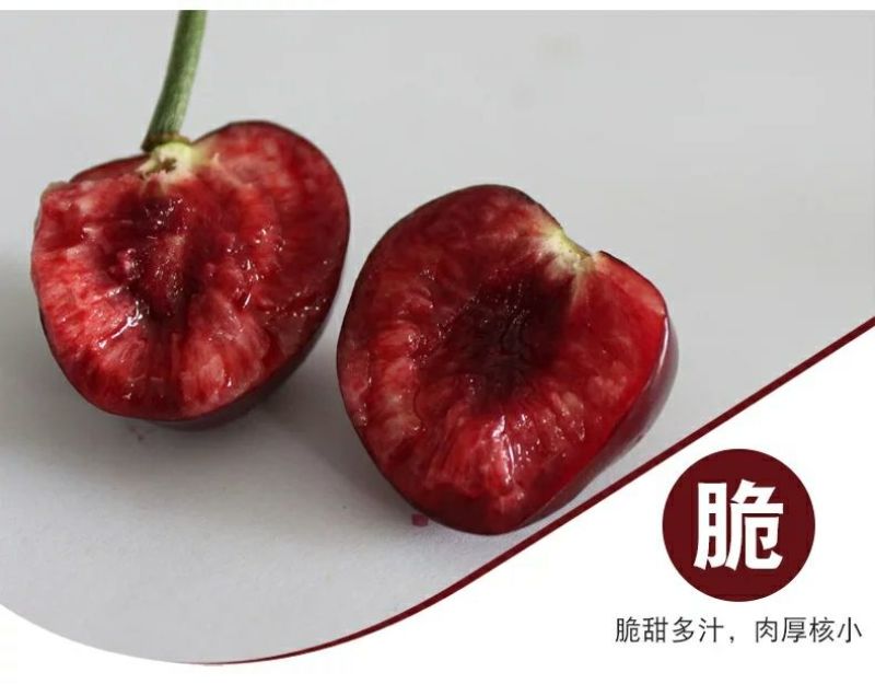 美早樱桃30mm以上