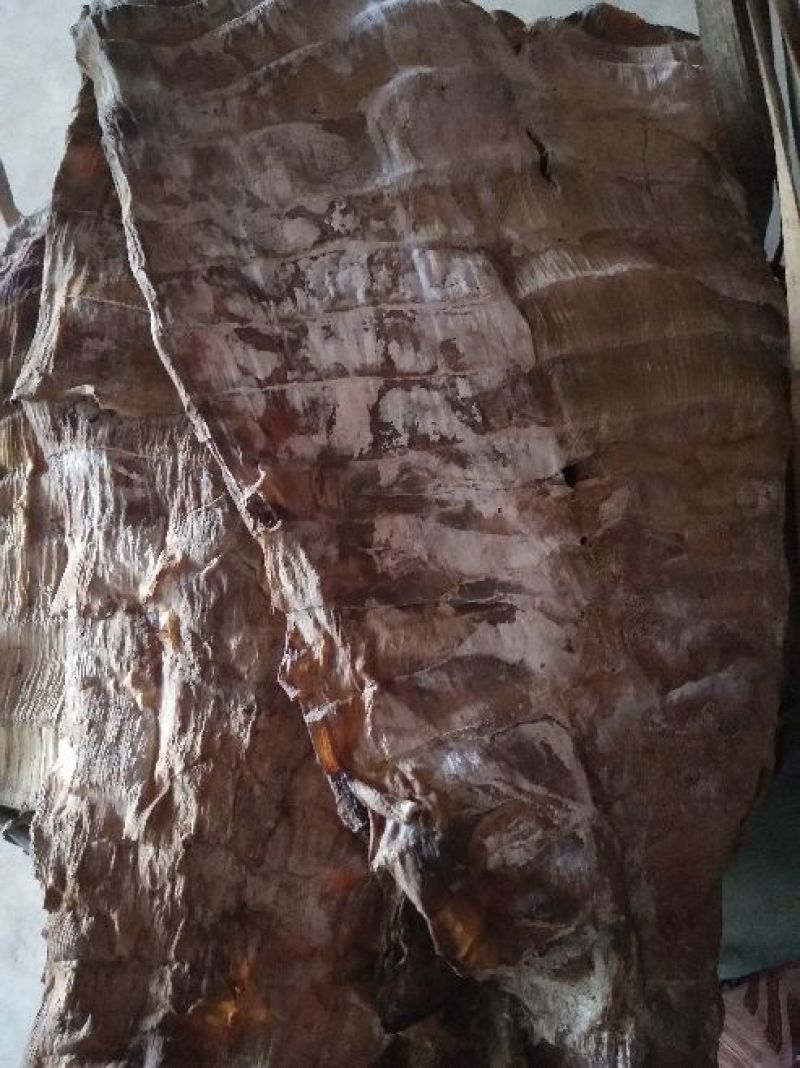 水煮笋干淡笋干
