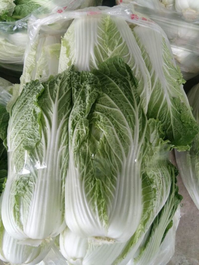 中短棵，黄心大白菜净菜袋装3~5斤