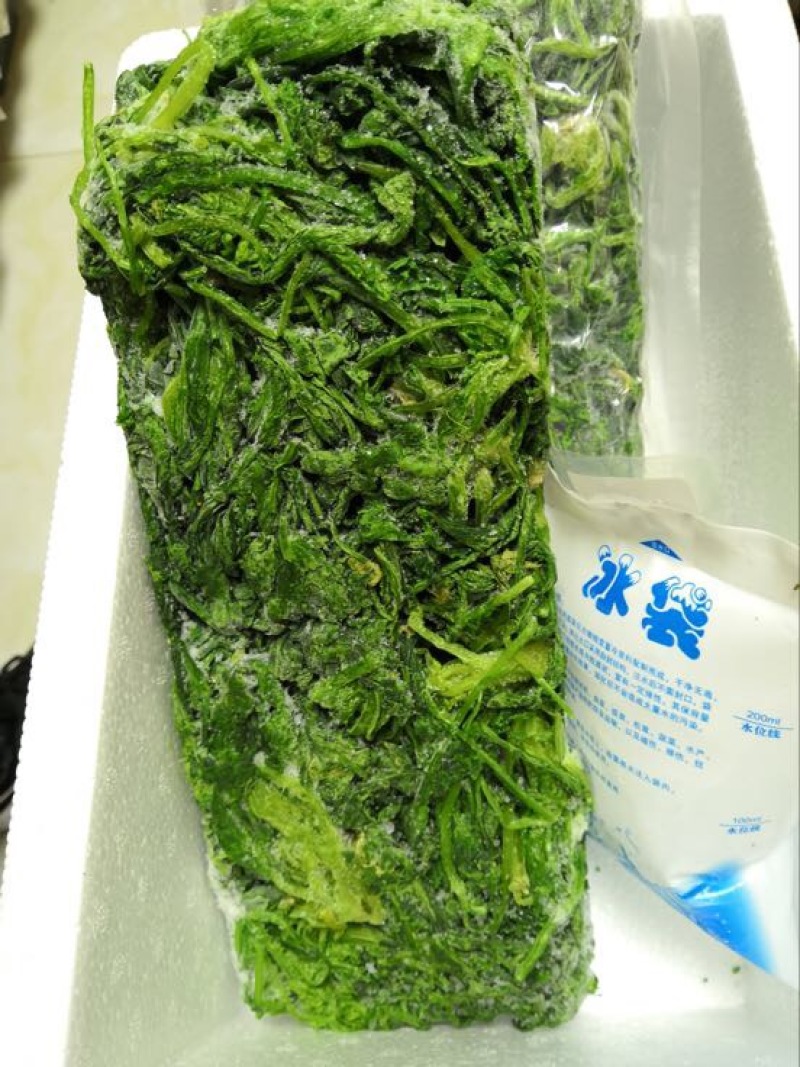 荠菜5~10cm
