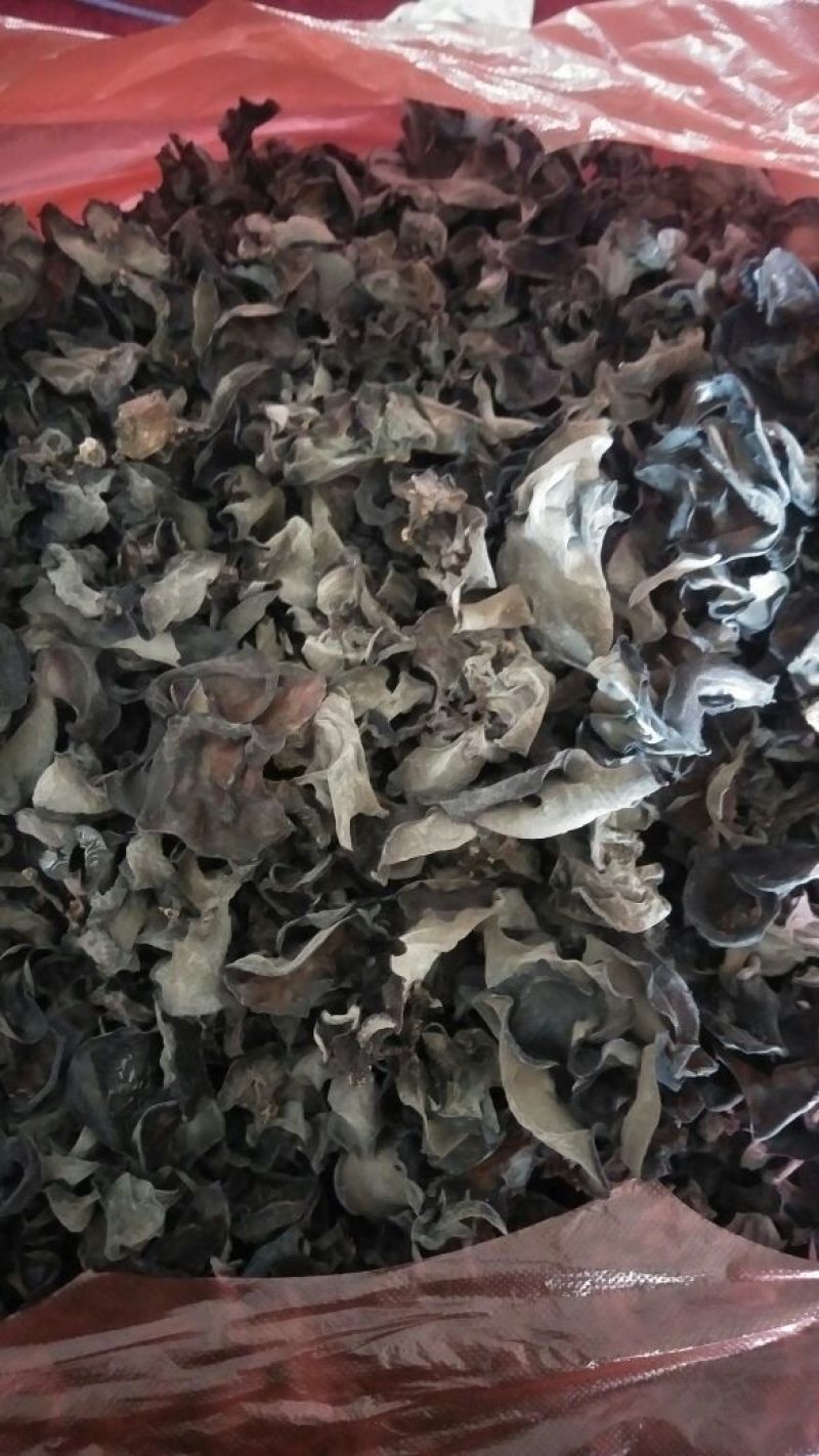 木耳一级