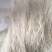 红薯粉丝散装