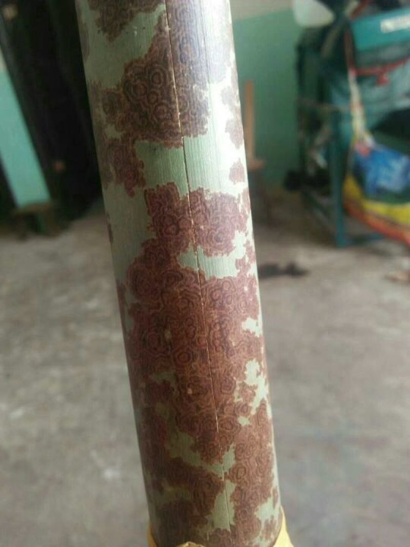 斑竹2~3m