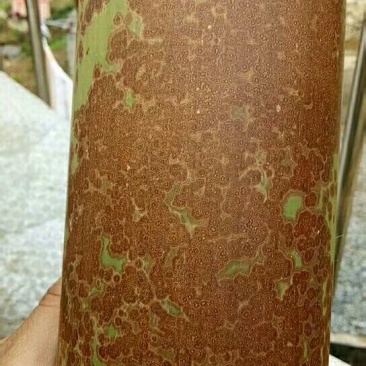 斑竹2~3m