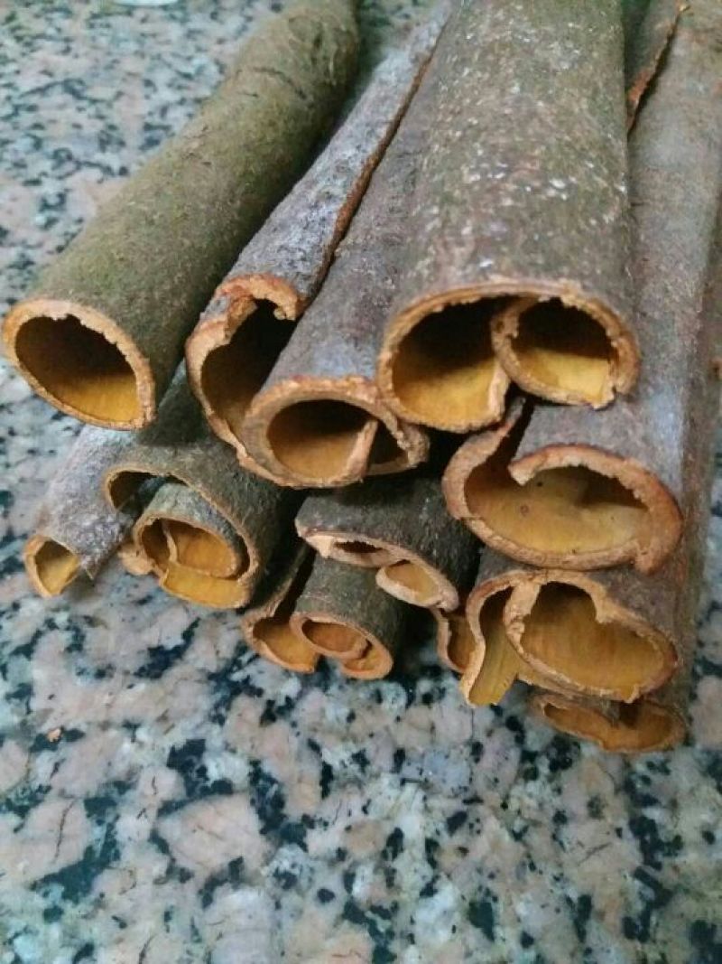 桂皮纯生态阳光晾晒全干象棋老桂皮