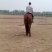肉马300~400kg
