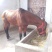 肉马300~400kg