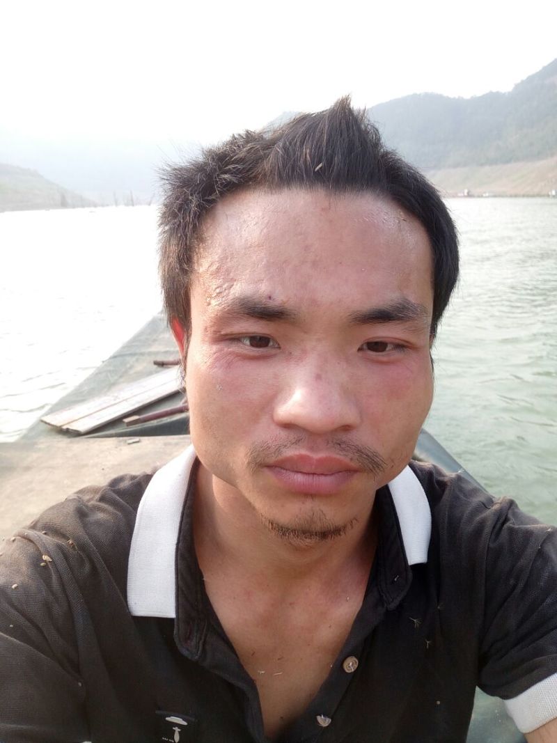 罗非鱼活鱼