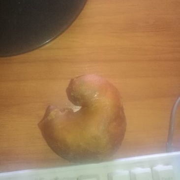 鸡宝