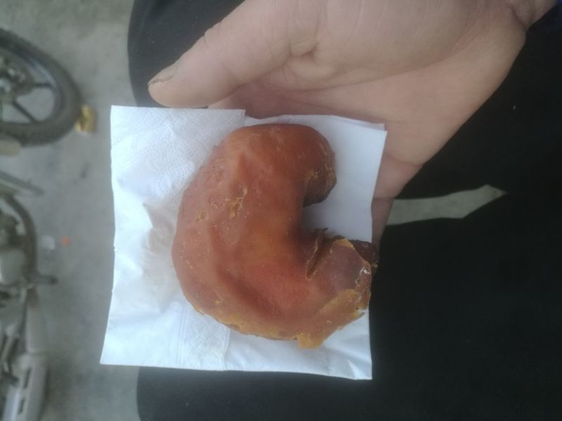 鸡宝